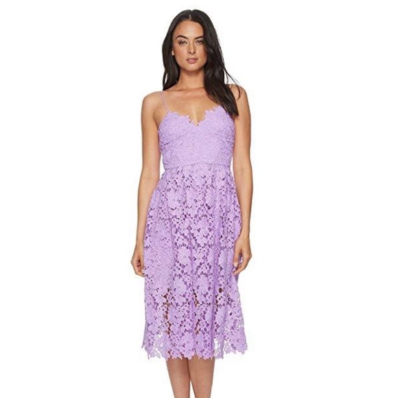 NWT Anthropologie Donna Morgan Renata Lace Dress - Picture 4 of 11